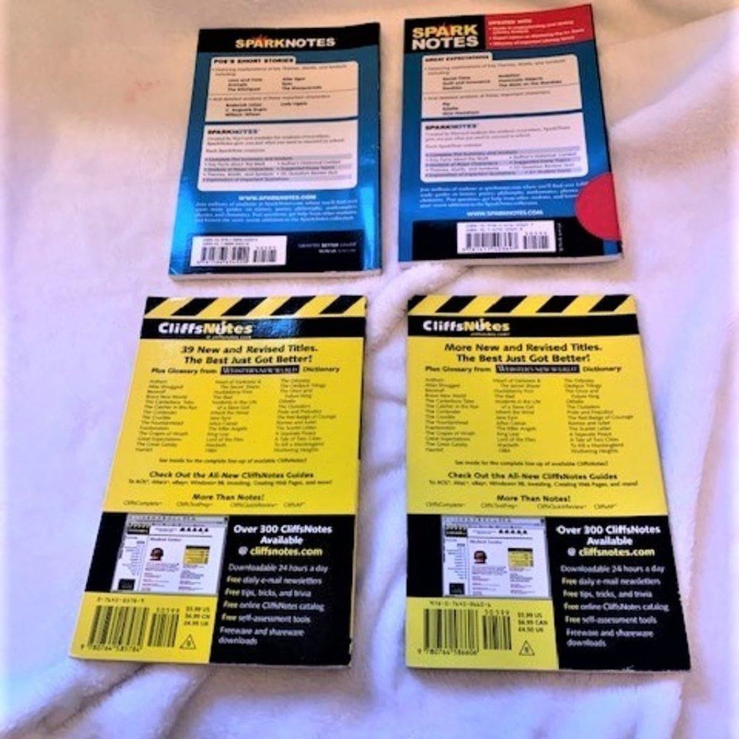 Set 4 Study Guides Great Expectations/Old Man & Sea/Separate Peace/Poe's Stories