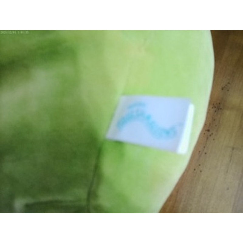 Squishmallows Green Frog Plush Rainbow Belly Soft Squishy Cuddle Toy OSG 16"
