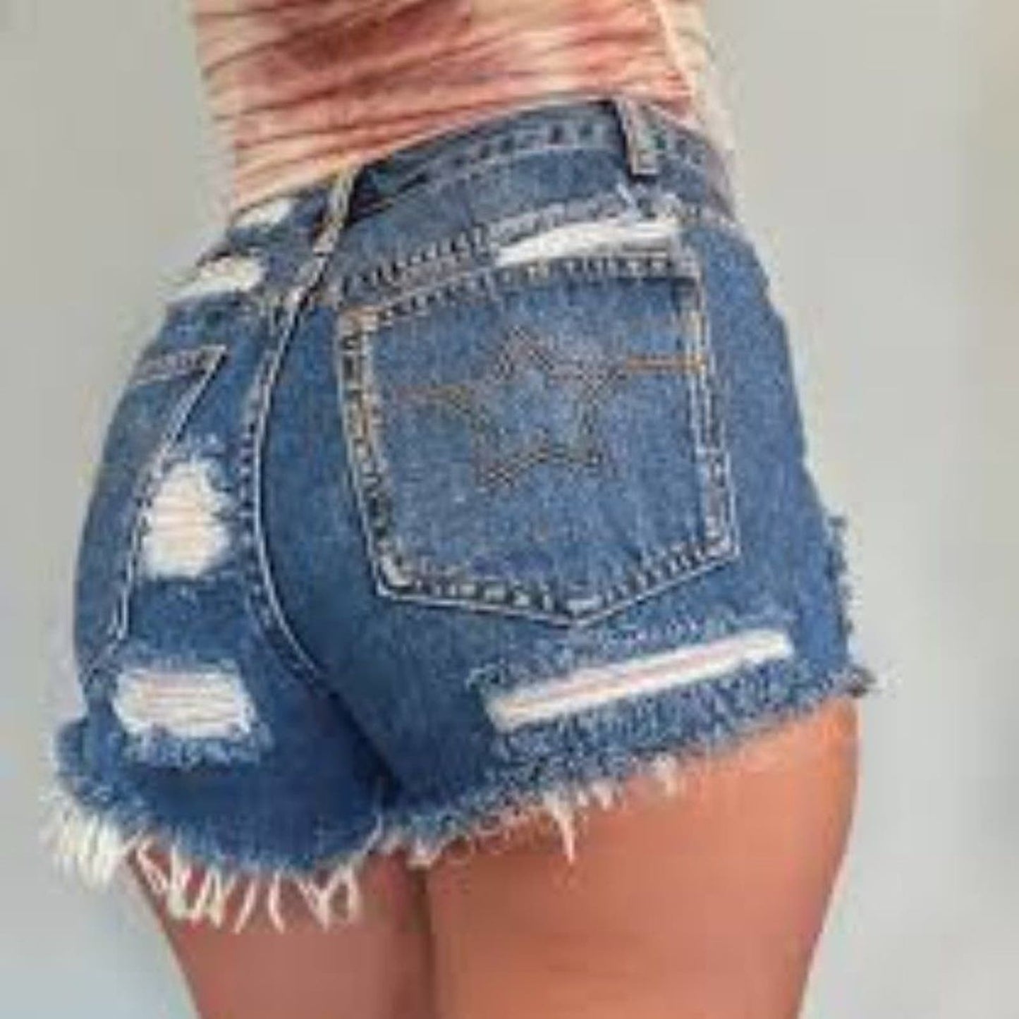 Bailey Ray & Co. Back Distressed High Waisted Denim Shorts - The Lucy - Size 2