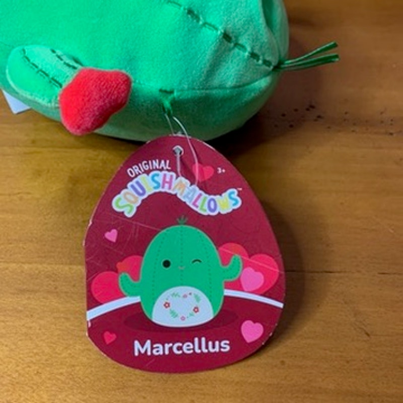NWT Squishmallows Marcellus Cactus Plush 5in Hearts Winking