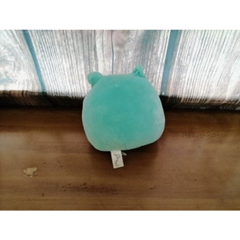Squishmallows Robert Aqua Frog Plush Blue Floral Belly 8"