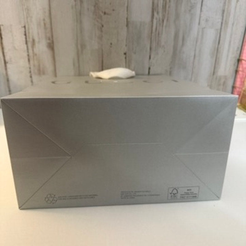Gucci Boutique Shopping Gift Bag Silver White Ribbon Handles Reusable