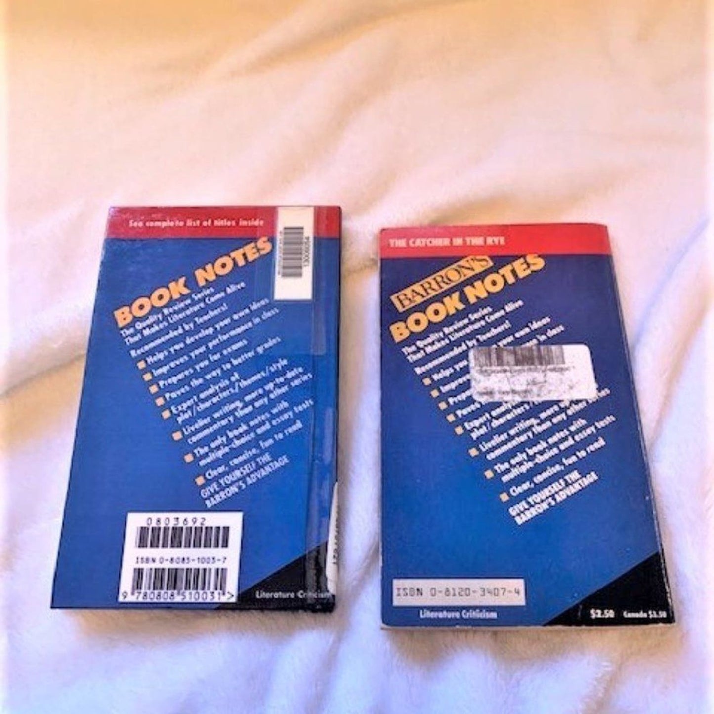 Set 5 Study Guides for The Catcher in the Rye by JD Salinger