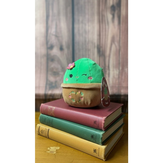NWT Squishmallows Shadi Cactus Plush w/ Tag Valentine Hearts