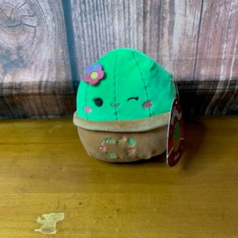 NWT Squishmallows Shadi Cactus Plush w/ Tag Valentine Hearts