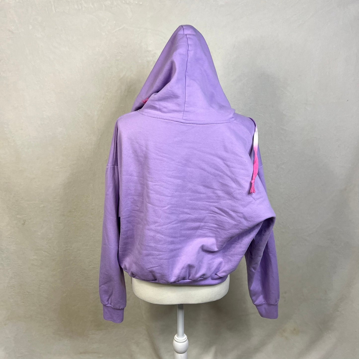 Looney Tunes Youth Size XXL Hoodie Bugs Bunny & Daffy Duck Purple