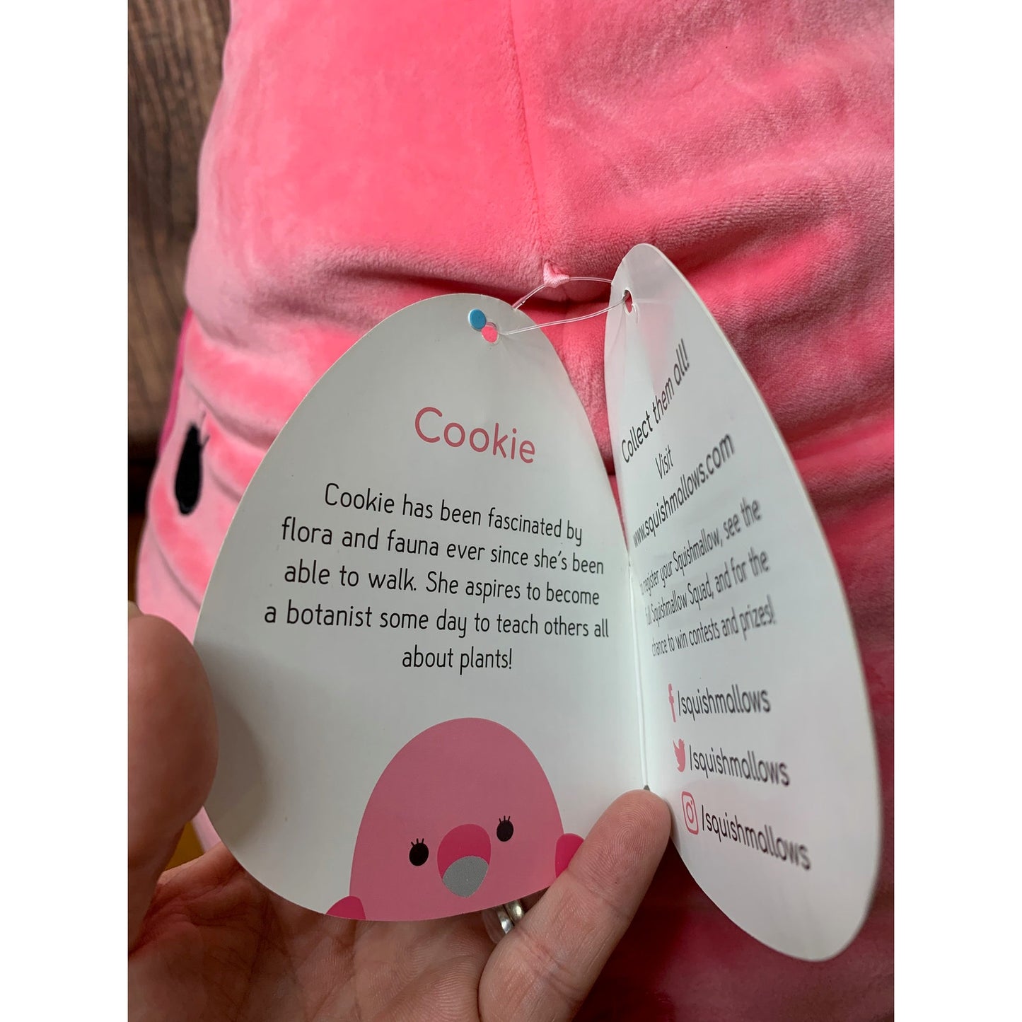 NWT Squishmallows Cookie the Flamingo Plush Pink 16 in