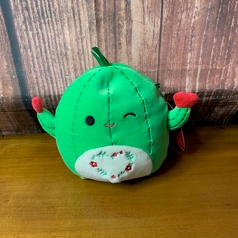 NWT Squishmallows Marcellus Cactus Plush 5in Hearts Winking