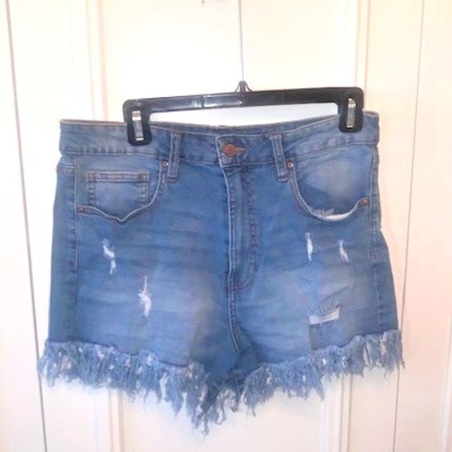 High Rise Festival Fray Hem Denim Shorts