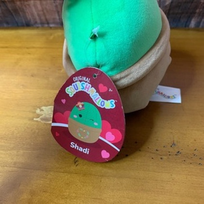 NWT Squishmallows Shadi Cactus Plush w/ Tag Valentine Hearts
