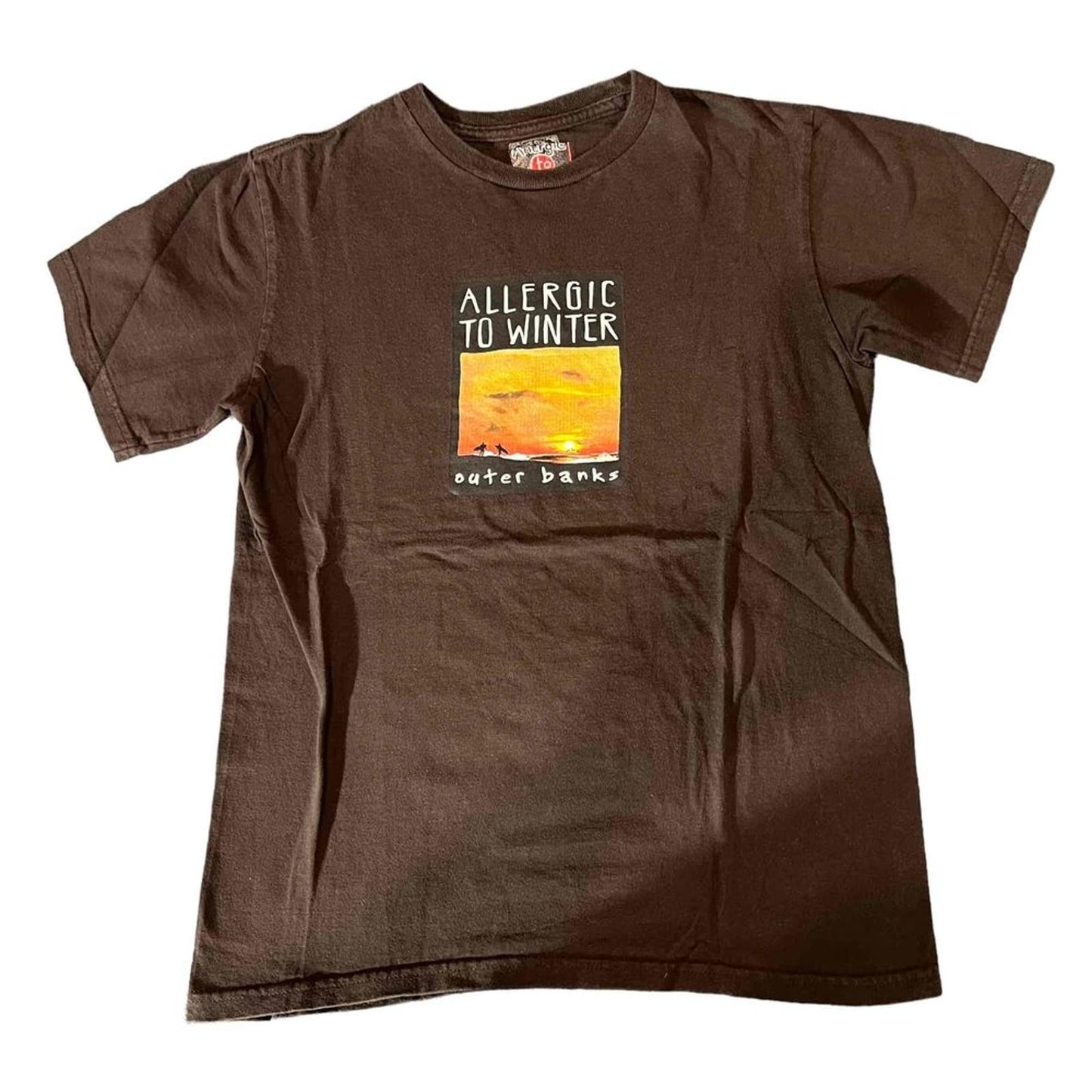 Allergic To Cities Brown "Allergic To Winter" Short Sleeve Graphic T-Shirt Small