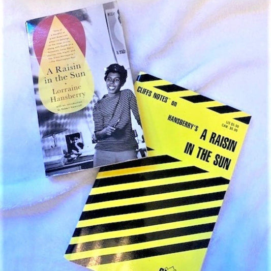 A Raisin in the Sun by Lorraine Hansberry (set of 2)