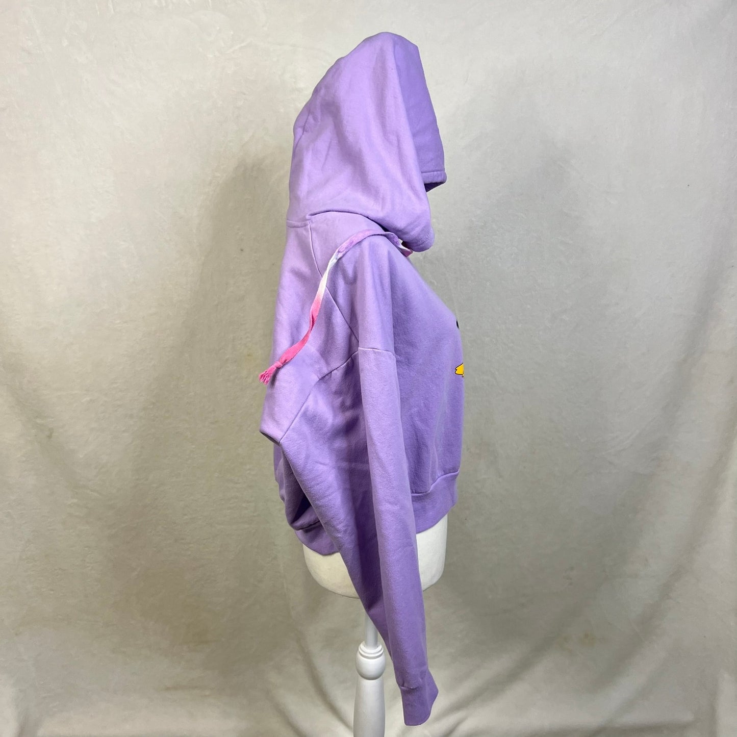 Looney Tunes Youth Size XXL Hoodie Bugs Bunny & Daffy Duck Purple