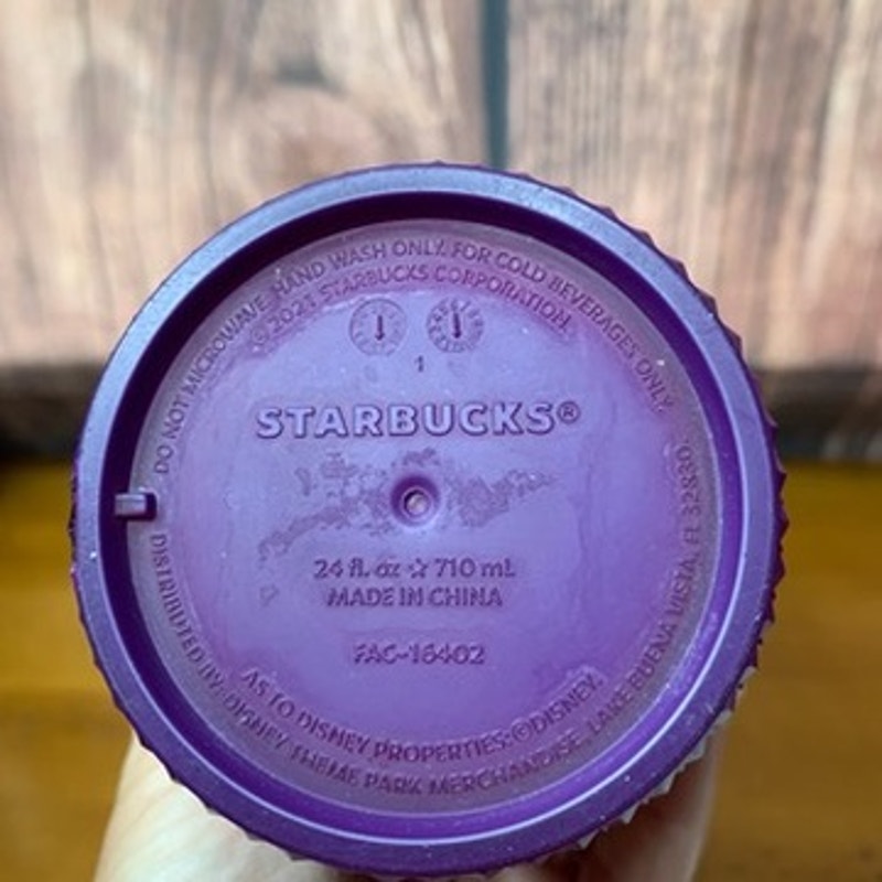 Starbucks Walt Disney World Studded Ombre w/ Straw 24oz