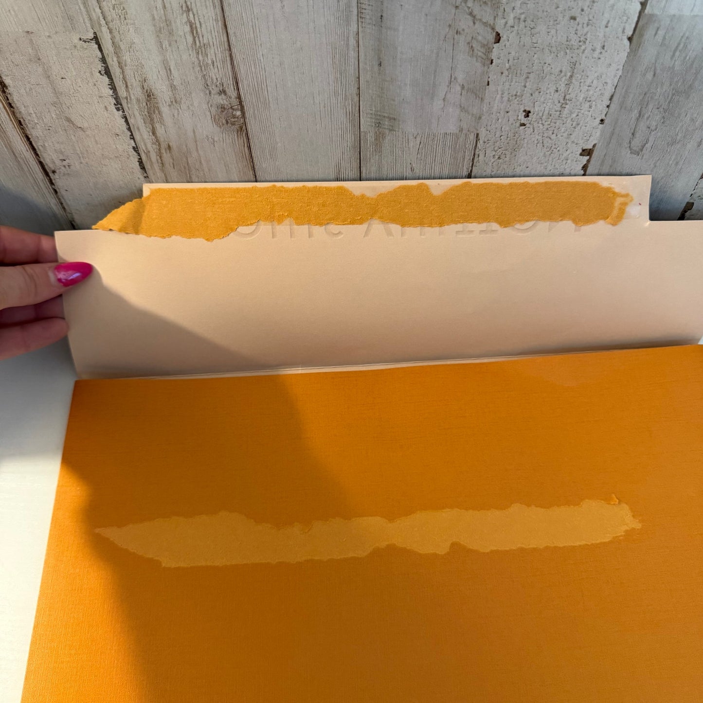 Louis Vuitton Large Orange Gift Envelope Packaging Sleeve Black Logo 17x13