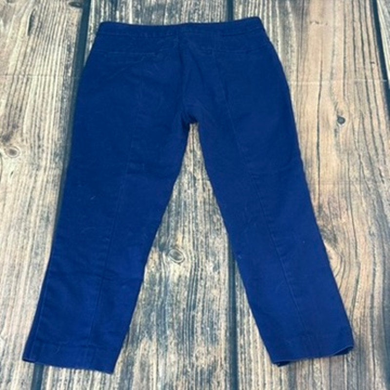 Adrianna Papell Women's Size 4 Blue Stretch Dress Pants Casual