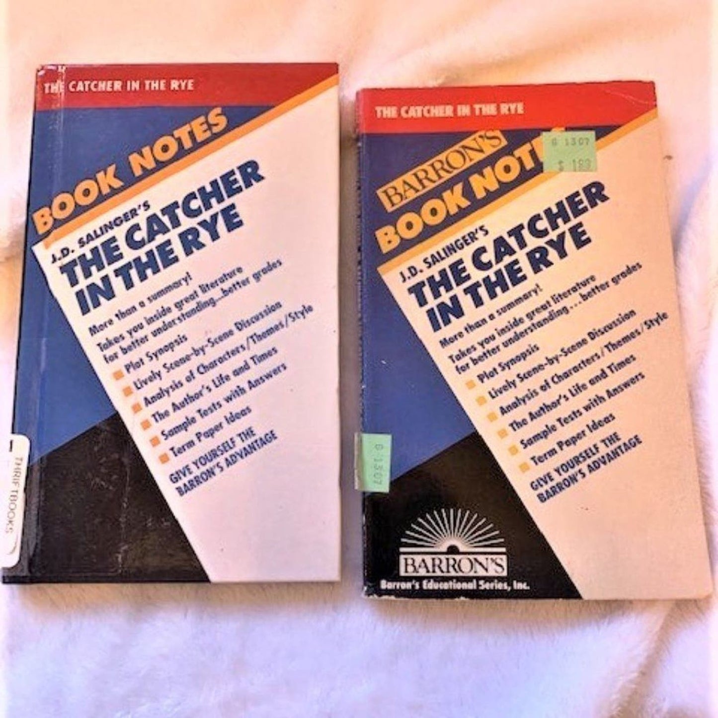 Set 5 Study Guides for The Catcher in the Rye by JD Salinger