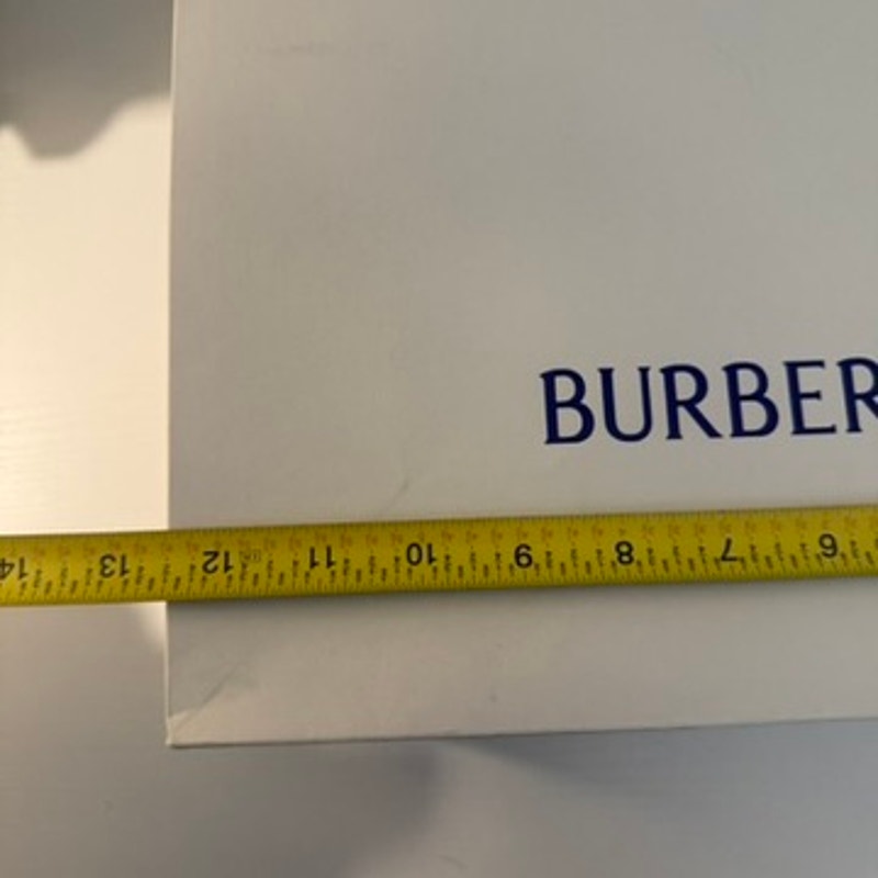 Burberry Large Shopping Gift Bag White Blue Rope Handles Prorsum Knight