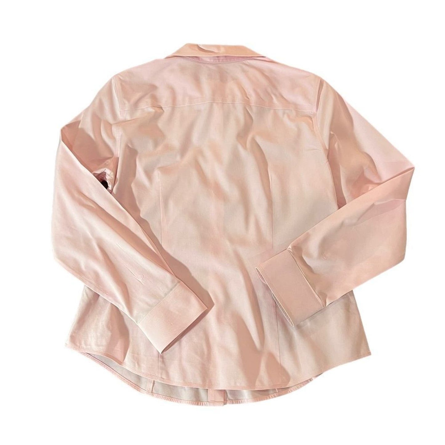 Talbot Pink Button Down Size 10P