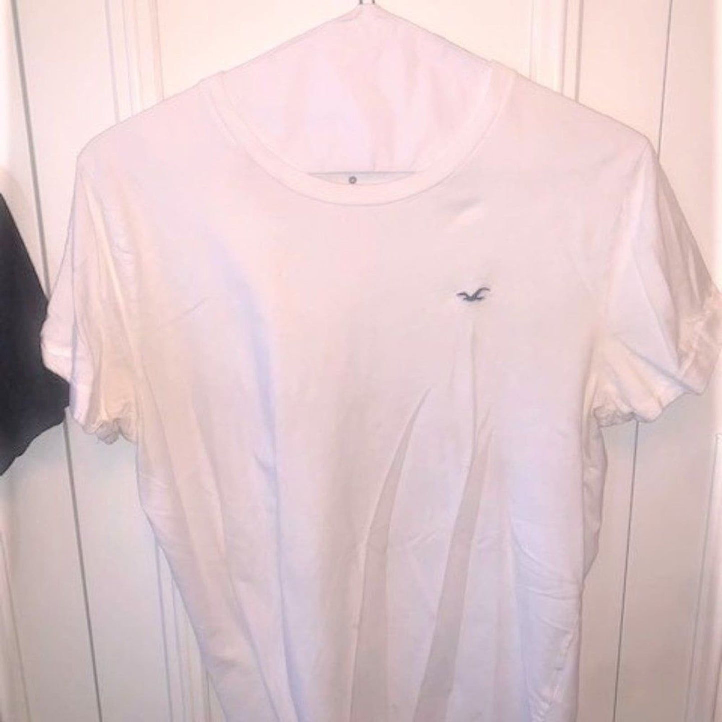 Hollister t-shirt bundle of 2 (M)