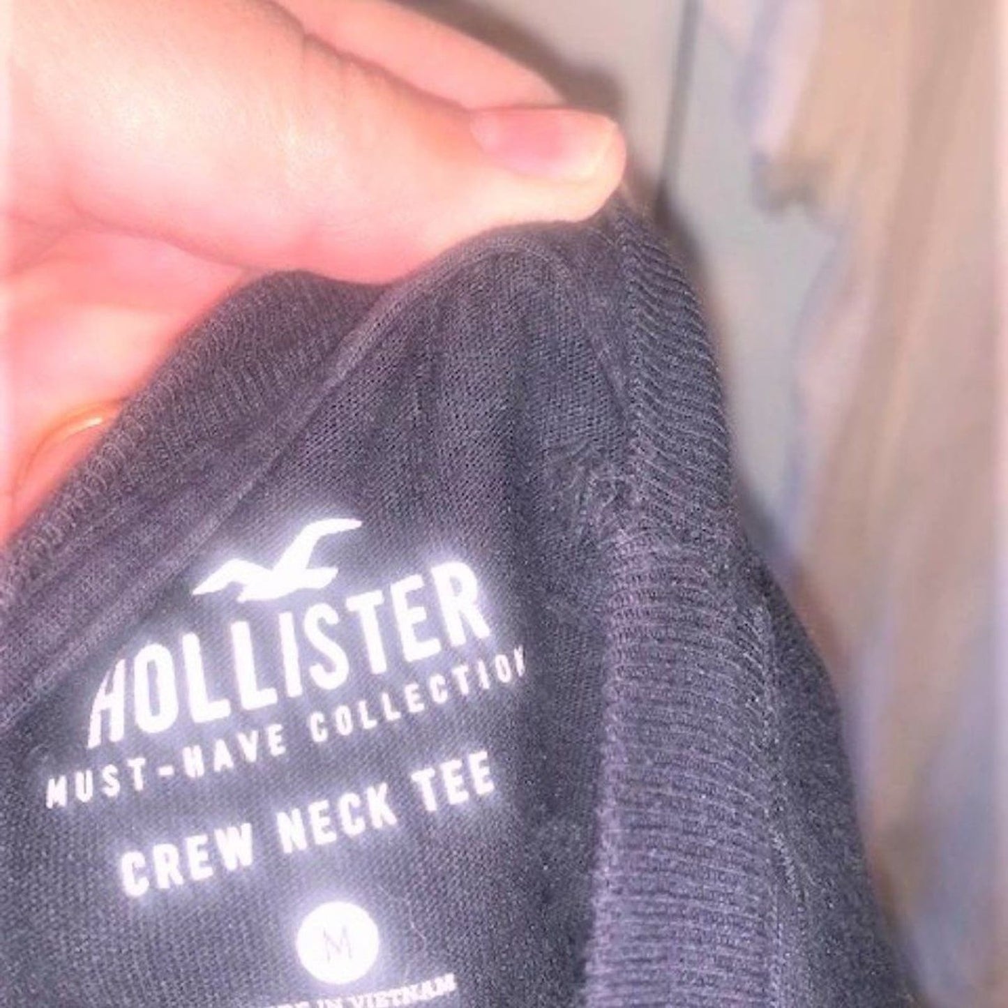 Hollister t-shirt bundle of 2 (M)