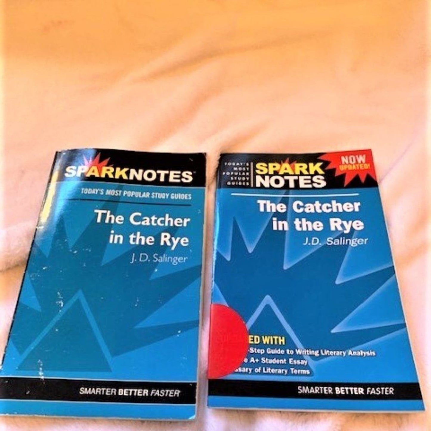 Set 5 Study Guides for The Catcher in the Rye by JD Salinger