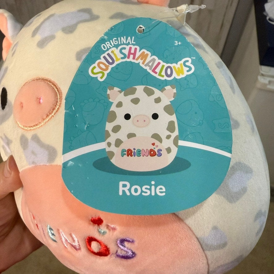 NWT Squishmallow Rosie The Pig "Friends" Plush Toy Small Retired