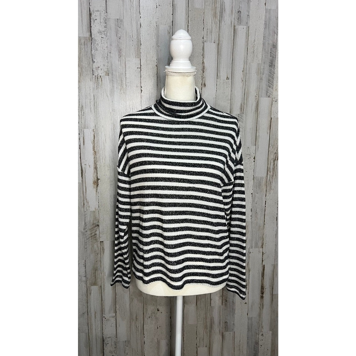 NWT Sanctuary Women's XS Metallic Stripe Turtleneck Sweater Multicolor