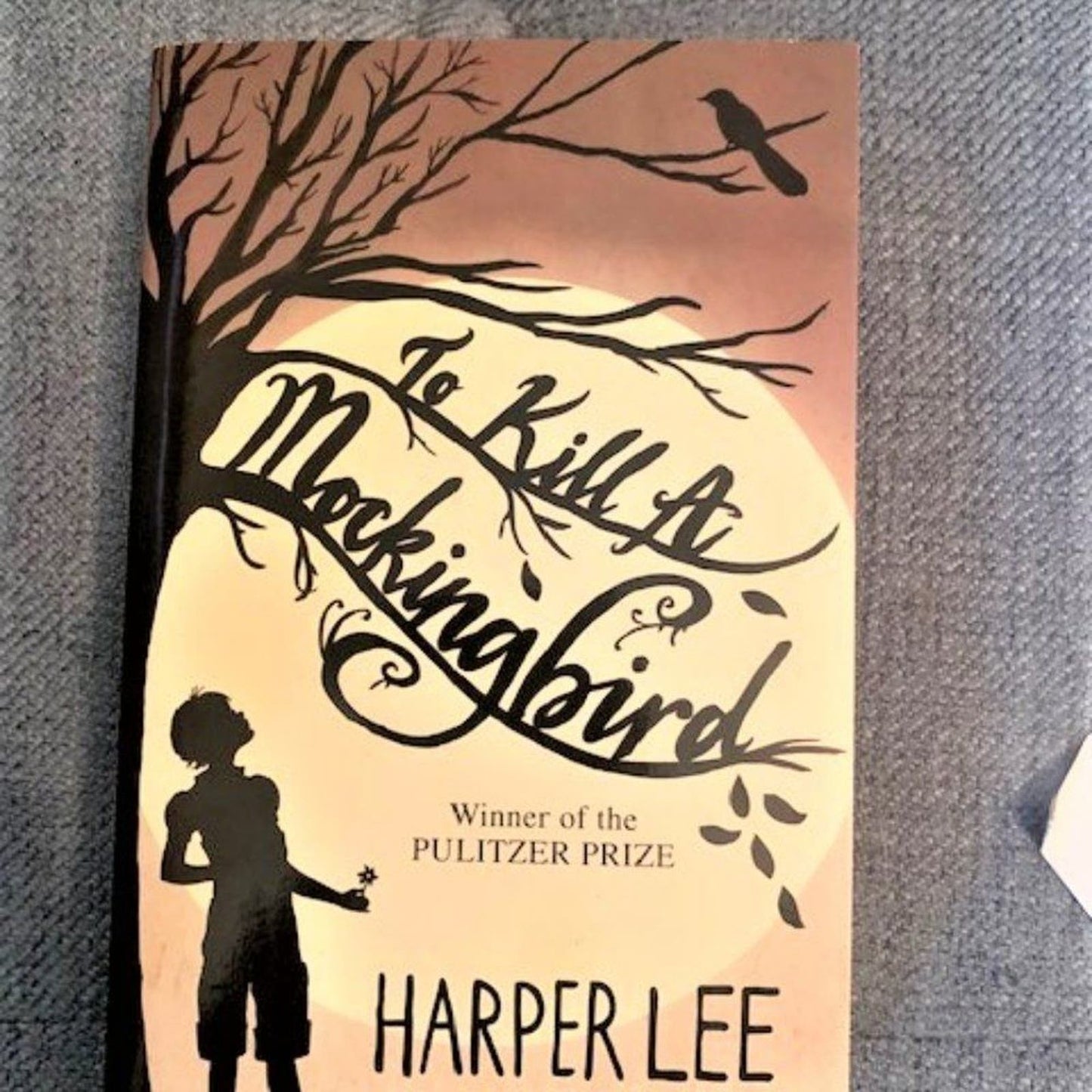 To Kill a Mockingbird Set of 2 (inc book & DVD)