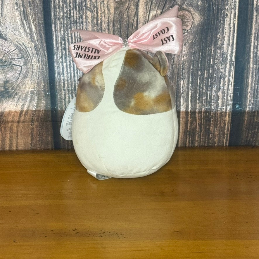 NWT Squishmallows 2023 Pax the Guinea Pig 7.5" Plush Toy Brown
