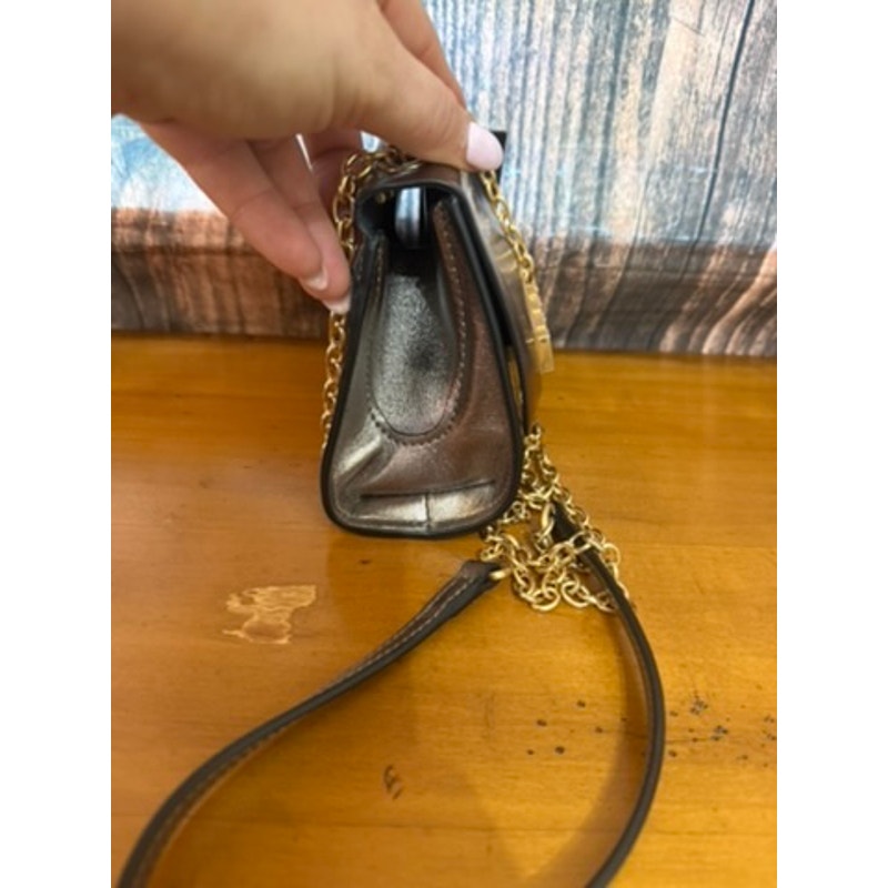 NWT Zac Posen Eartha Mini Chain Crossbody Bag Shale Gold Hardware