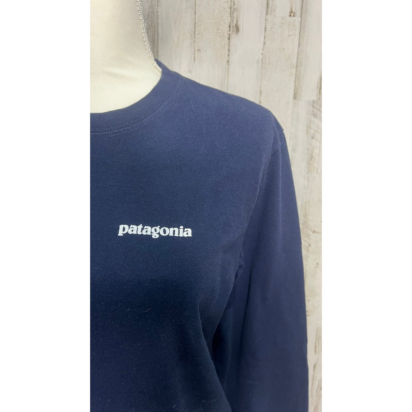 Patagonia Men's Long Sleeve Graphic Tee Blue Size Small Crew Neck