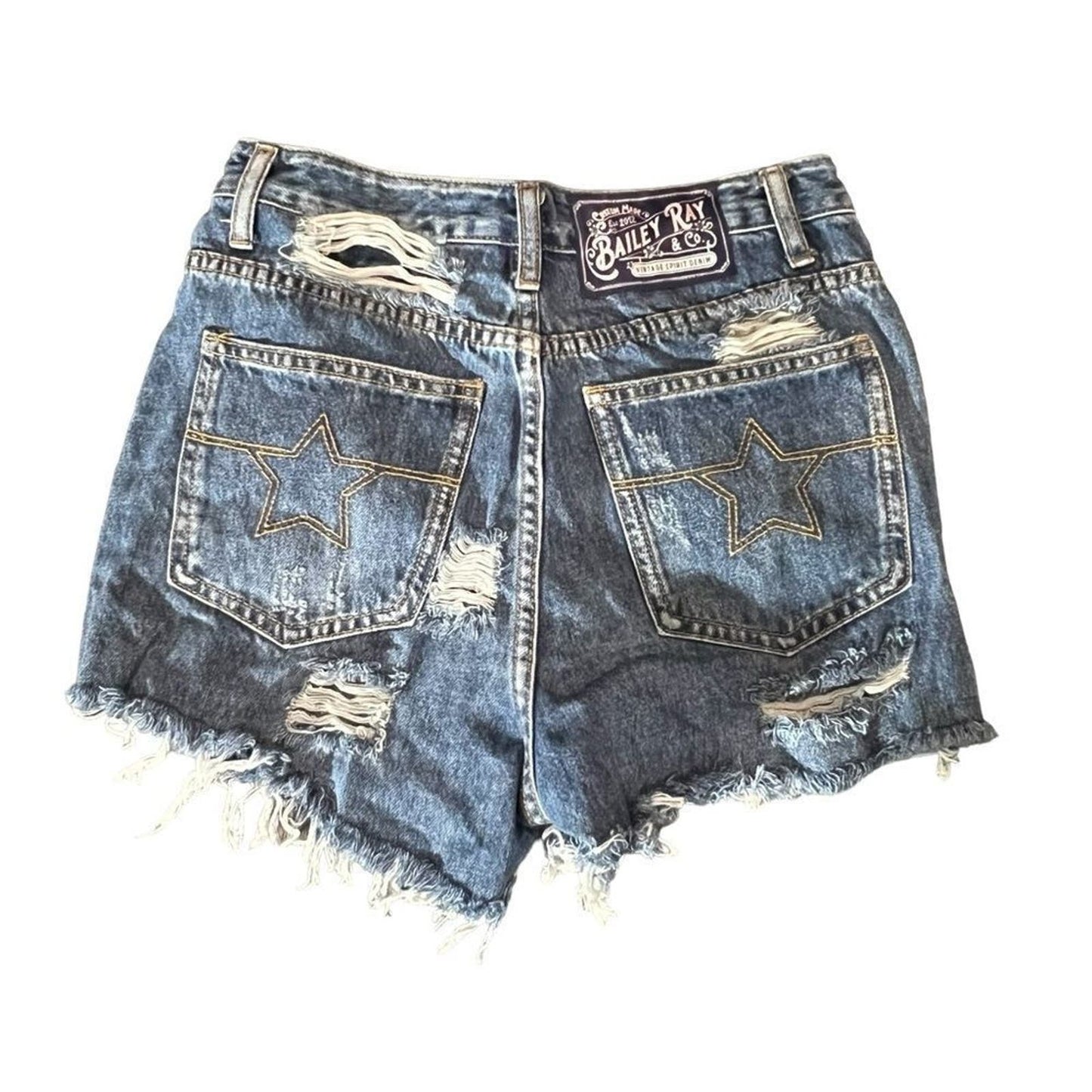 Bailey Ray & Co. Back Distressed High Waisted Denim Shorts - The Lucy - Size 2