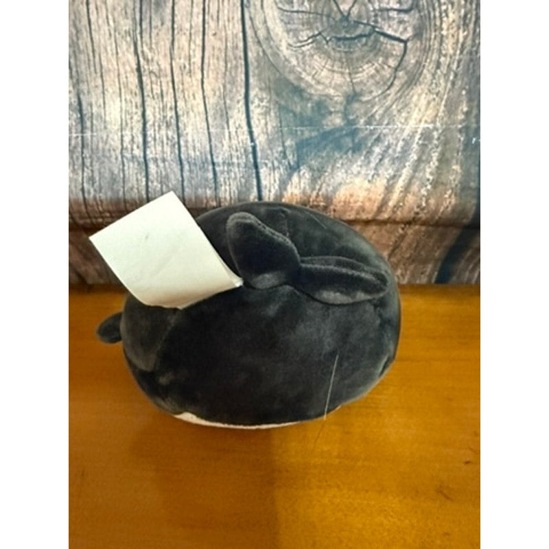 Squishmallows Kai The Orca 5" Plush Toy Winking Black & White Whale