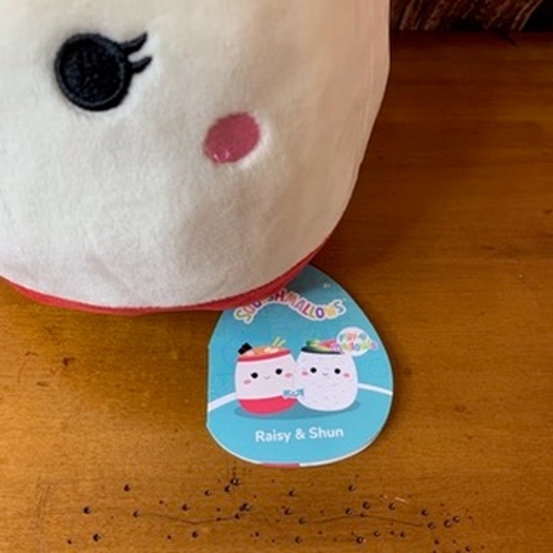 NWT Squishmallows Flip-A-Mallows Raisy & Shun 8in Plush w/ Tag