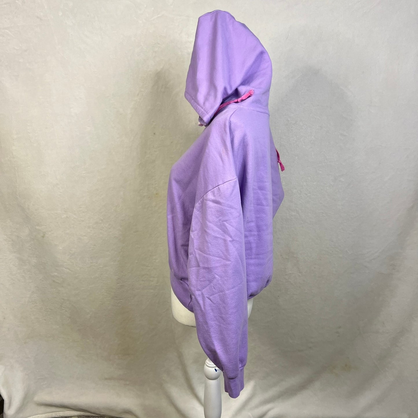 Looney Tunes Youth Size XXL Hoodie Bugs Bunny & Daffy Duck Purple