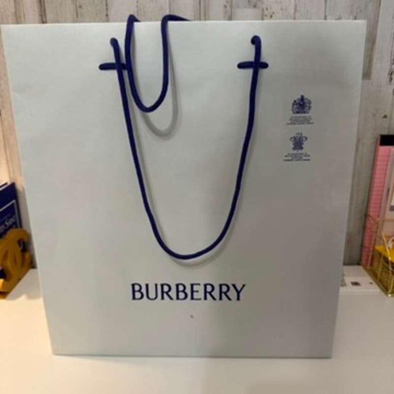 Burberry Large Retail Shopping Gift Bag White Navy Blue Rope Handles Logo