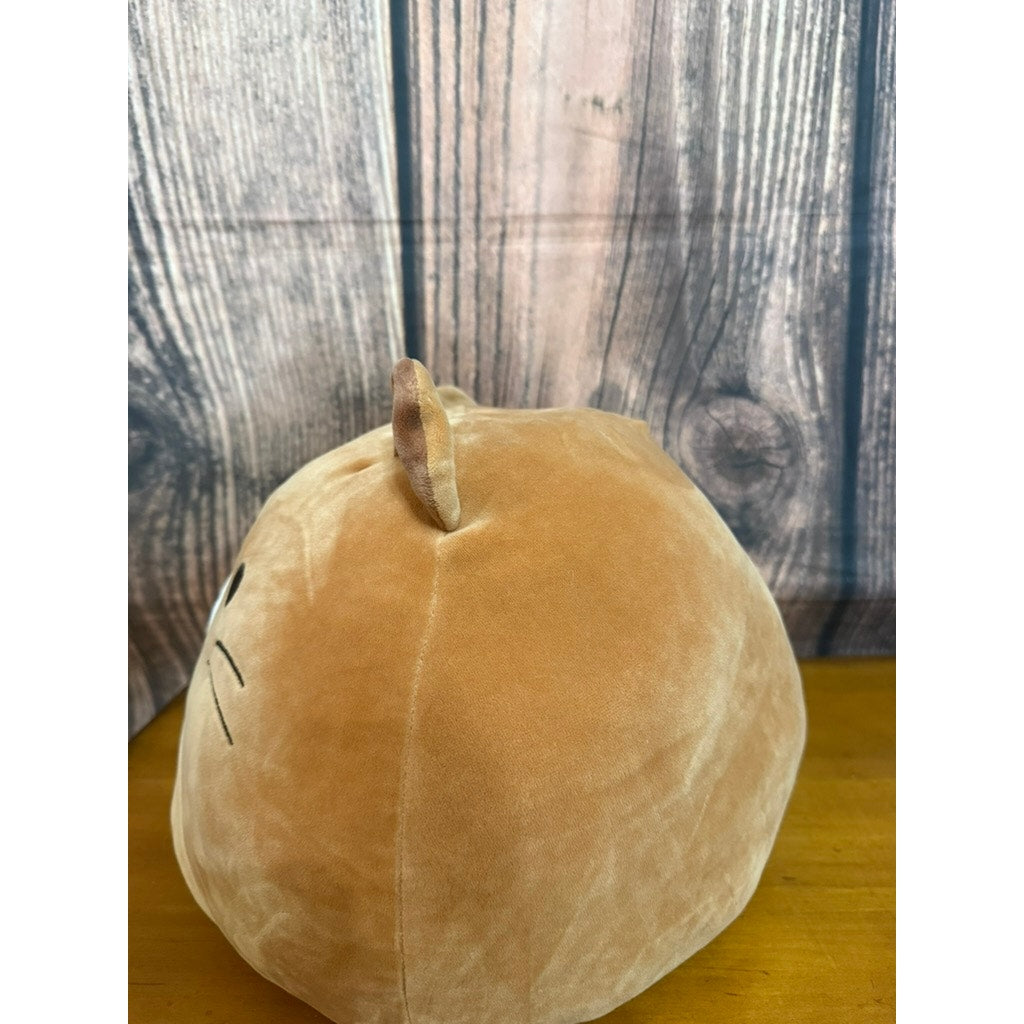 Squishmallow Flip-A-Mallow Chip Beaver & Rocky Raccoon Plush Medium 12"