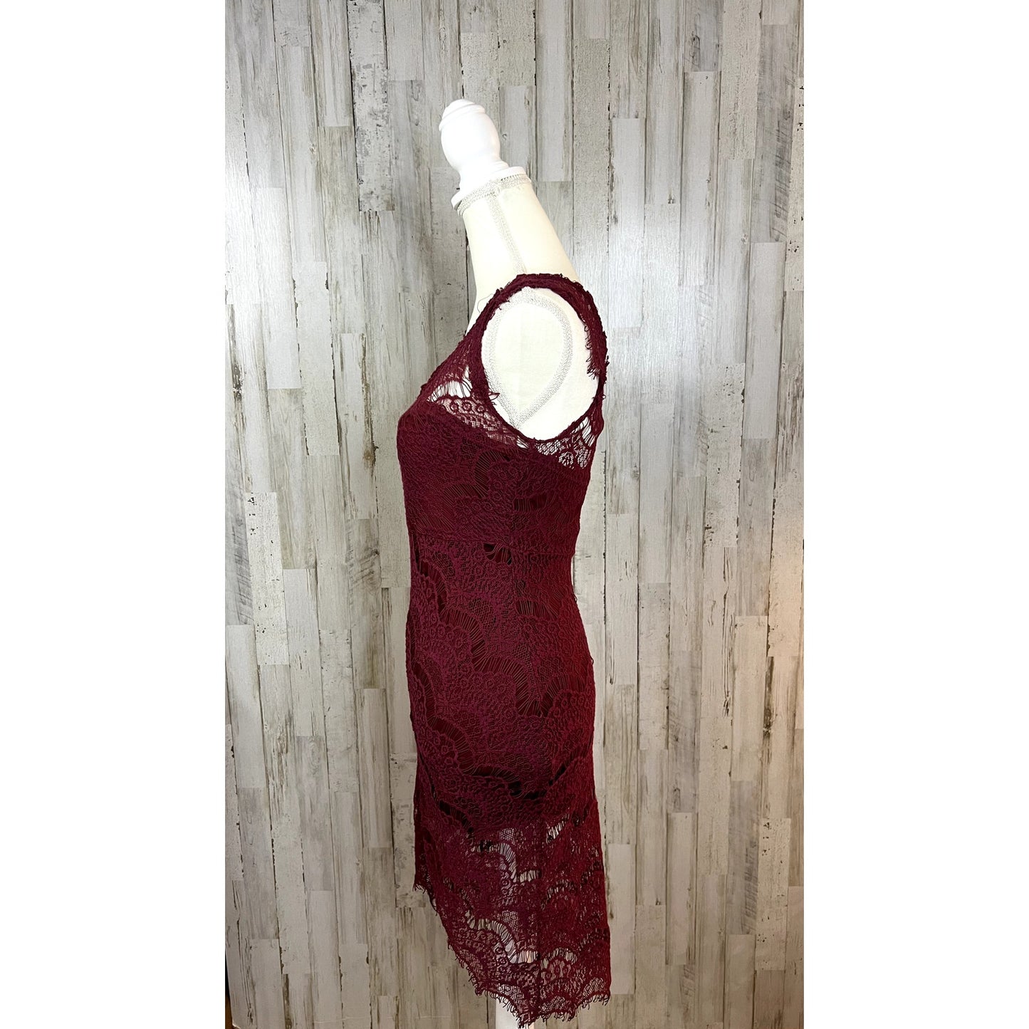 Intimately Free People Women's Extra Small Peekaboo Burgundy Lace Bodycon Dress