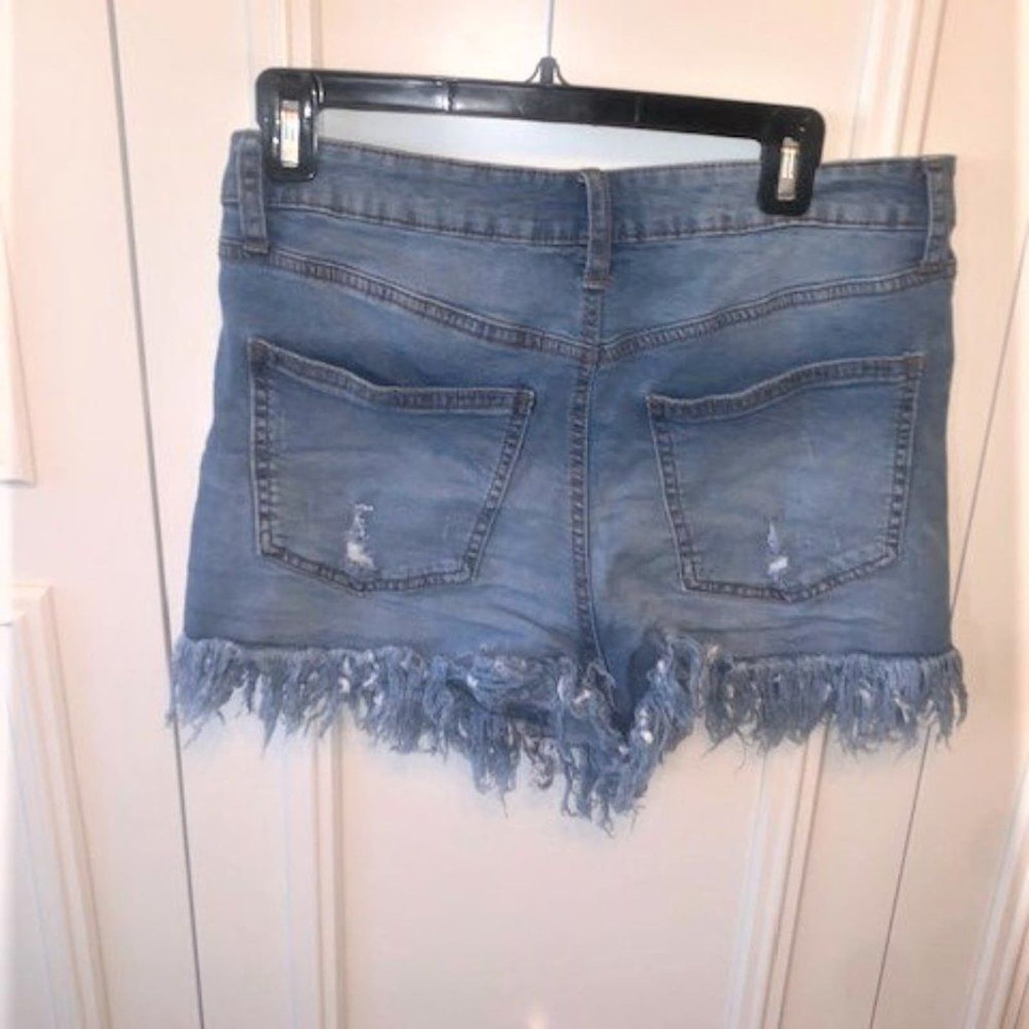 High Rise Festival Fray Hem Denim Shorts