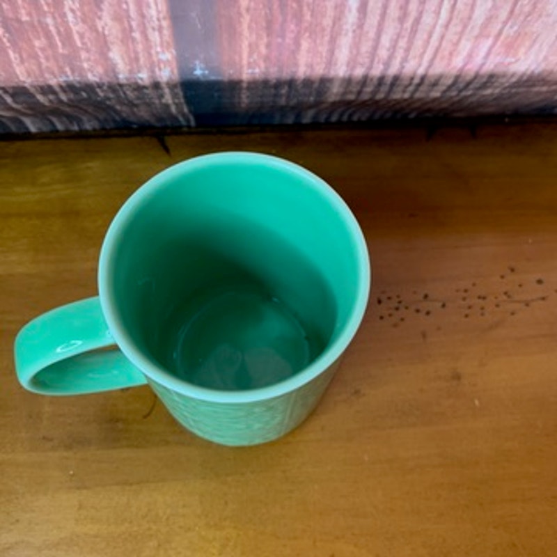 Starbucks Coffee Mug Jade Green Embossed Daisy Floral 12 oz