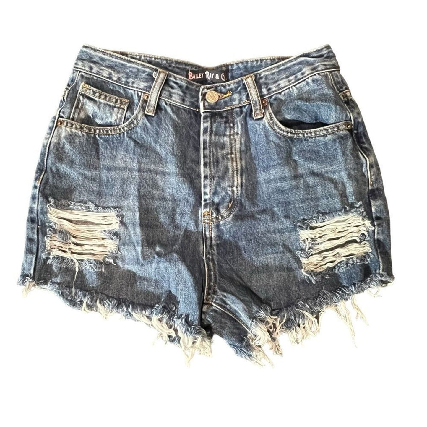 Bailey Ray & Co. Back Distressed High Waisted Denim Shorts - The Lucy - Size 2