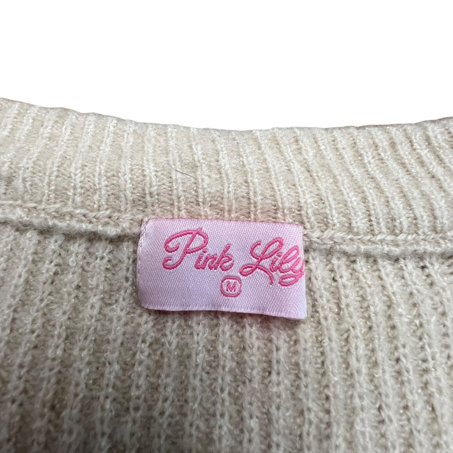 Pink Lily Women's Medium Beige V-Neck Knit Pullover Cozy Sweater