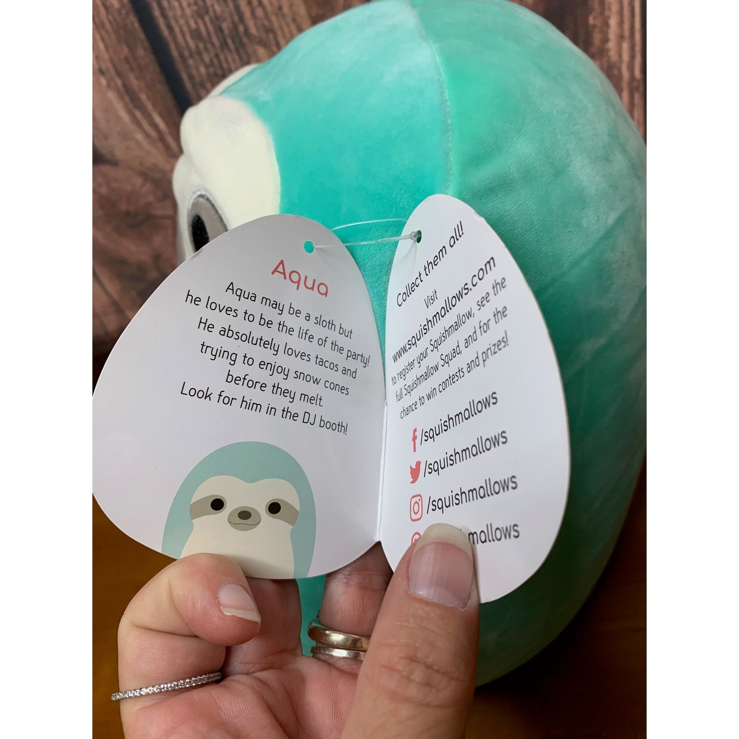 NWT Squishmallows Aqua Teal Sloth Plush 16 in w/ Hang Tag