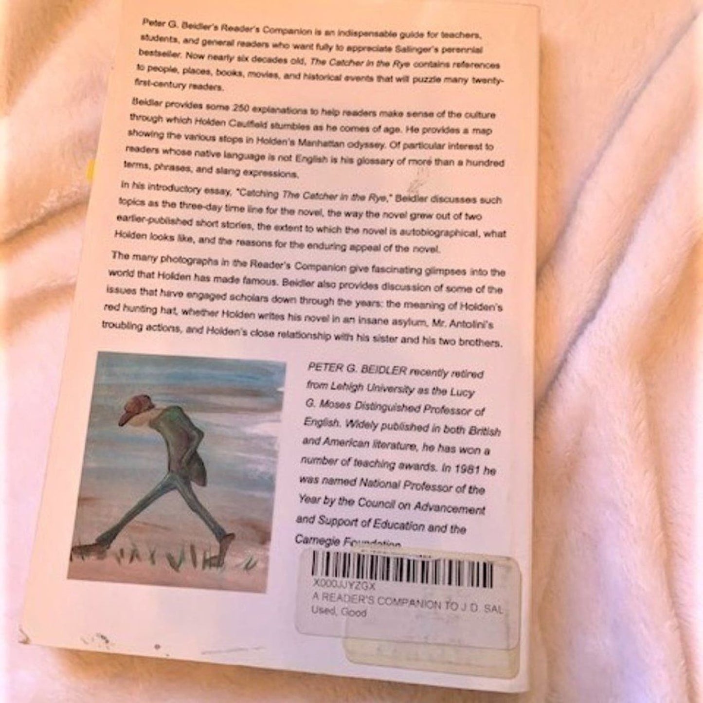 Set 5 Study Guides for The Catcher in the Rye by JD Salinger