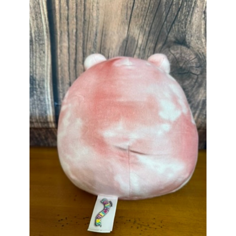 Squishmallow Fanina the Frog 8" Pink Plush Toy Soft Cuddly Gift