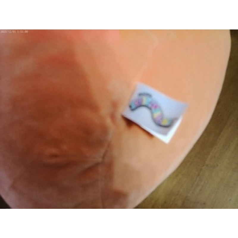 Squishmallows Orange Vampire Bat Plush Gold Wings OSG 12"